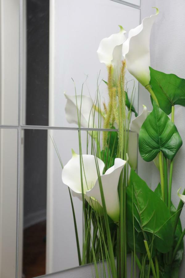 Skadar Apartment Beograd Eksteriør billede
